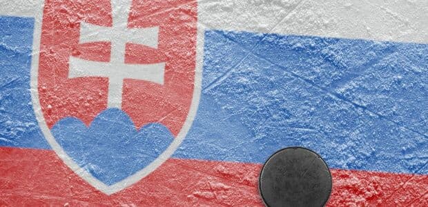 Na podporu hokeja na Slovensku by mali vzniknúť stredoškolské akadémie