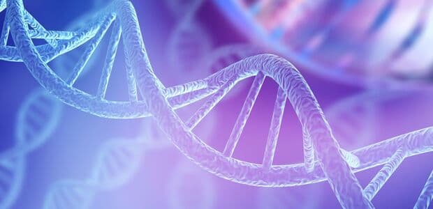 Mamutie DNA pomáha predvídať budúcnosť ohrozených druhov