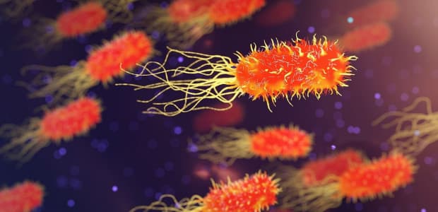 Narodil sa Alexander Fleming, ktorý za svoj objav získal Nobelovu cenu. Dodnes sa využíva v medicíne!
